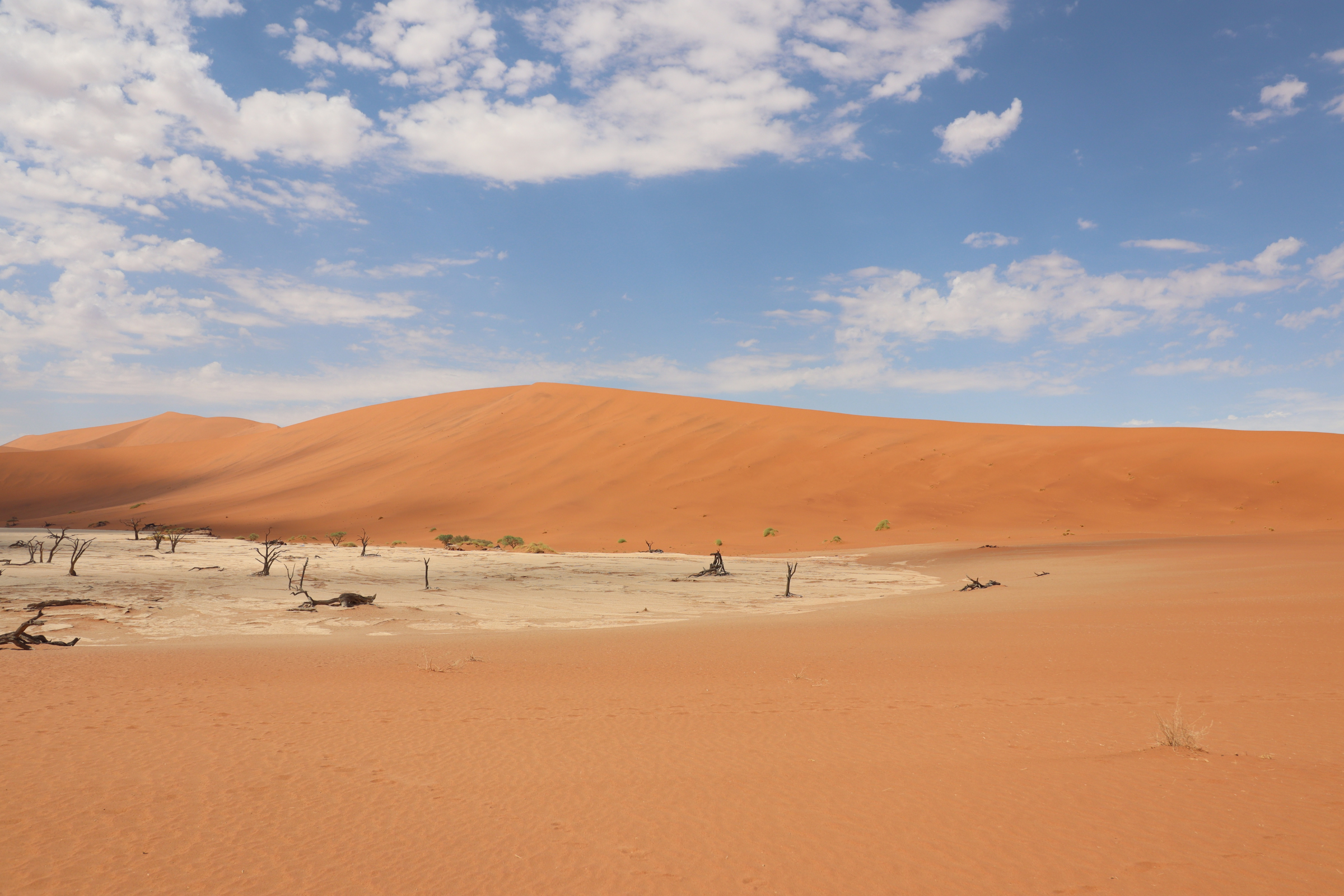 namib desert (2).webp